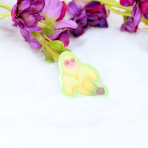 Pin hecho a mano de Platapornis, de nuestra Colección Original Kawaii Fruit x Animals.