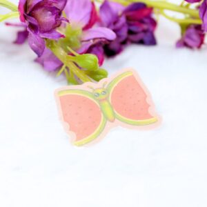 Pin hecho a mano de Sandiposa, de nuestra Colección Original Kawaii Fruit x Animals.