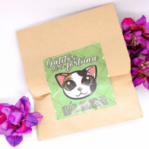 Imán sorpresa - Gatitos de la Fortuna